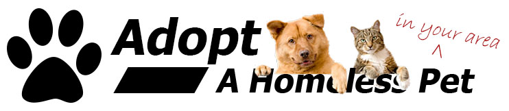 Adopt a homeless pet